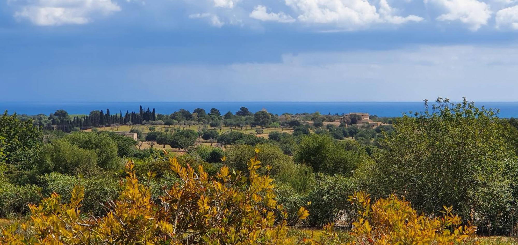 Villa Casa En Cala Varques Vacation Permit Manacor (Mallorca)