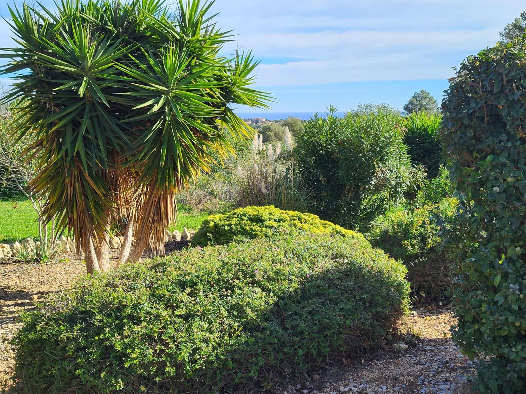 Casa En Cala Varques Vacation Permit Villa *