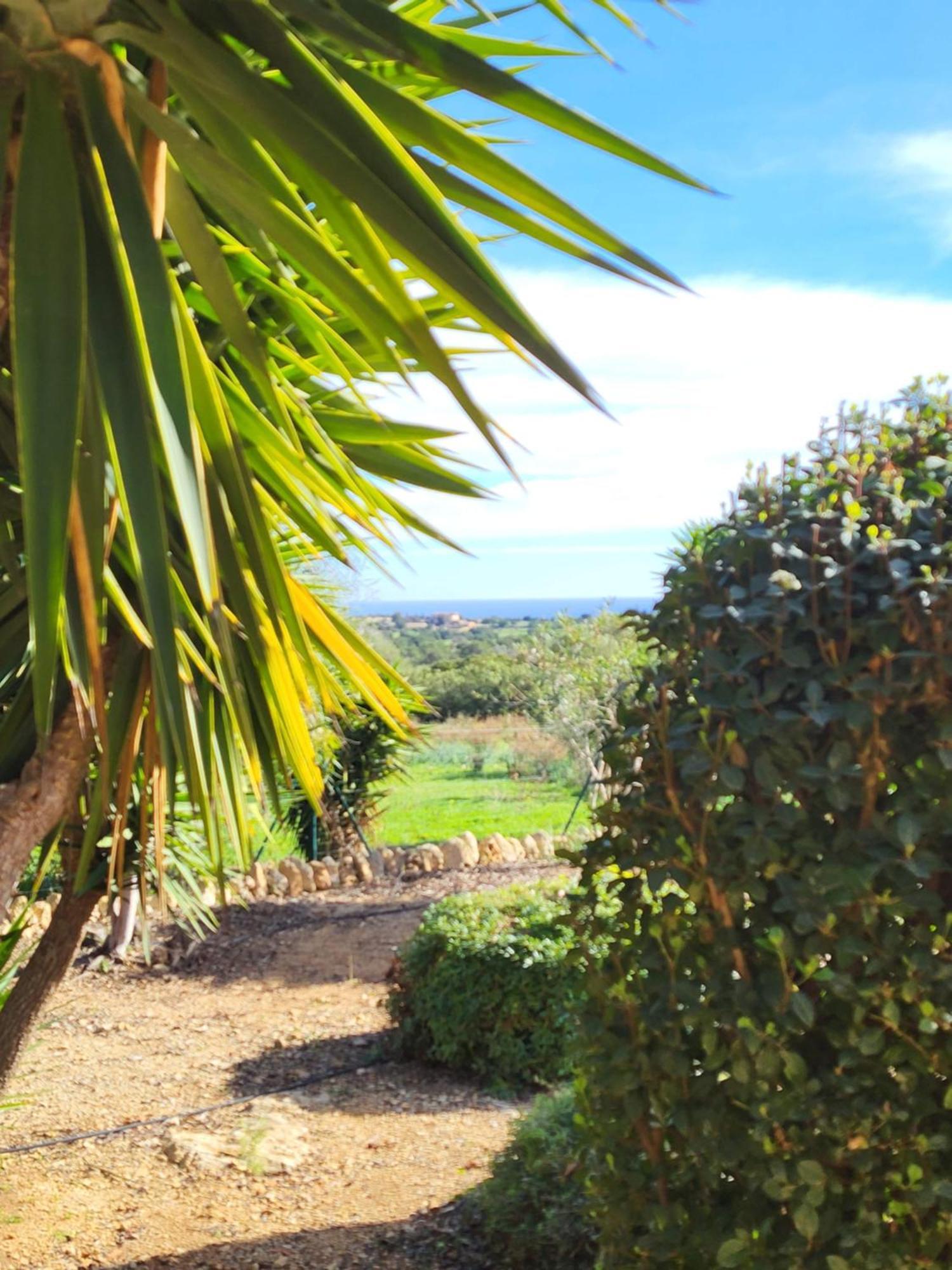 Casa En Cala Varques Vacation Permit Villa *
