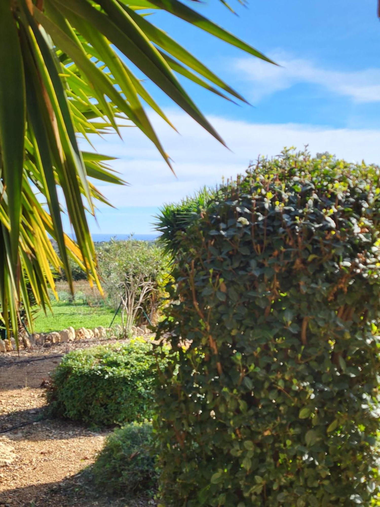 Casa En Cala Varques Vacation Permit Villa *